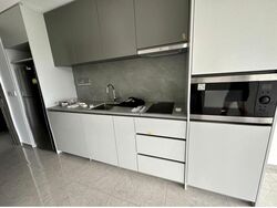 Parc Clematis (D5), Apartment #496696491